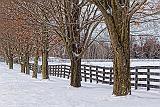 Winter Farm Fence_32522